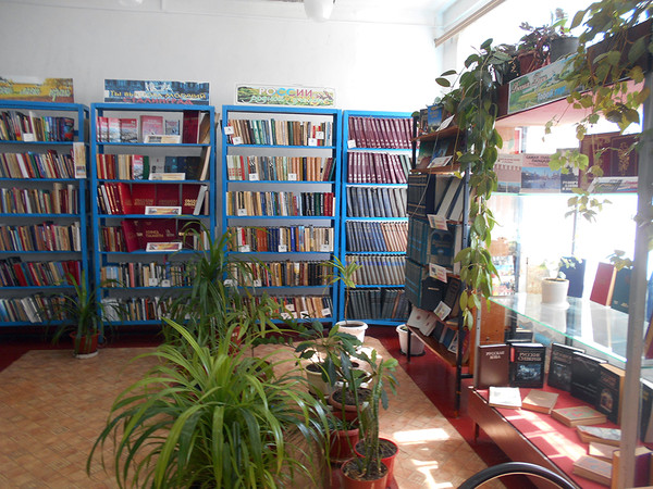 Вязовская сельская библиотека