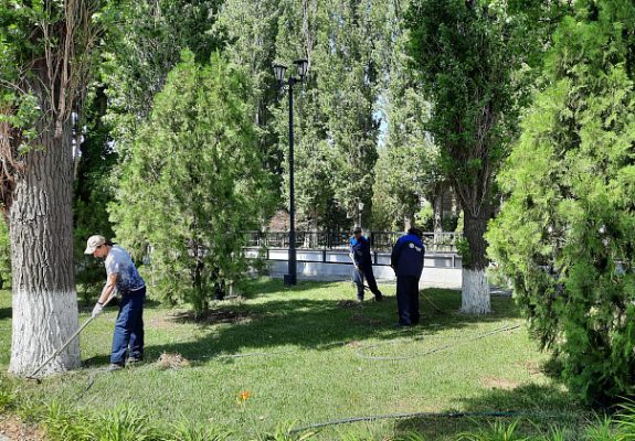 В Волгоградской области создают возможности для трудоустройства подростков на время каникул